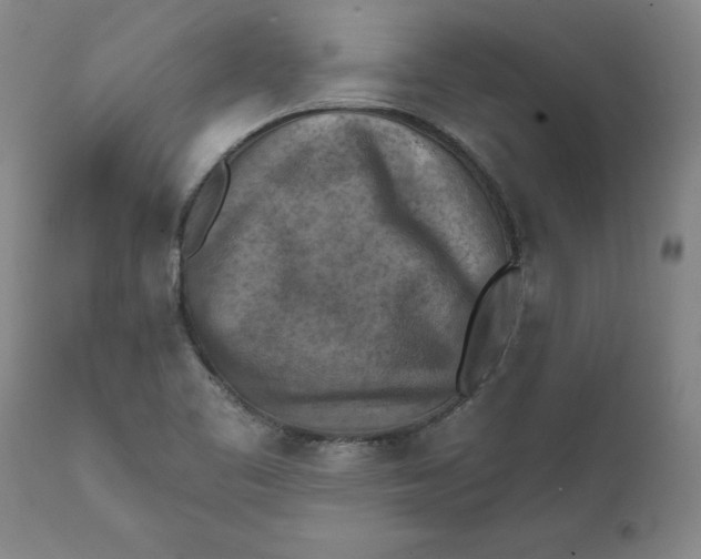 X0000112031461200908241527