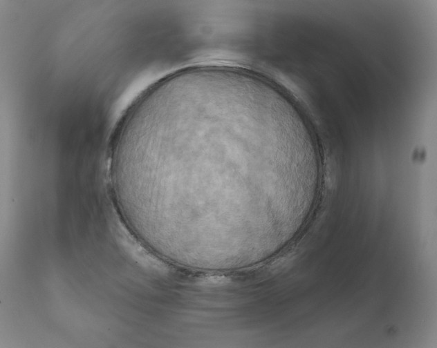 X0000112031462200908241527