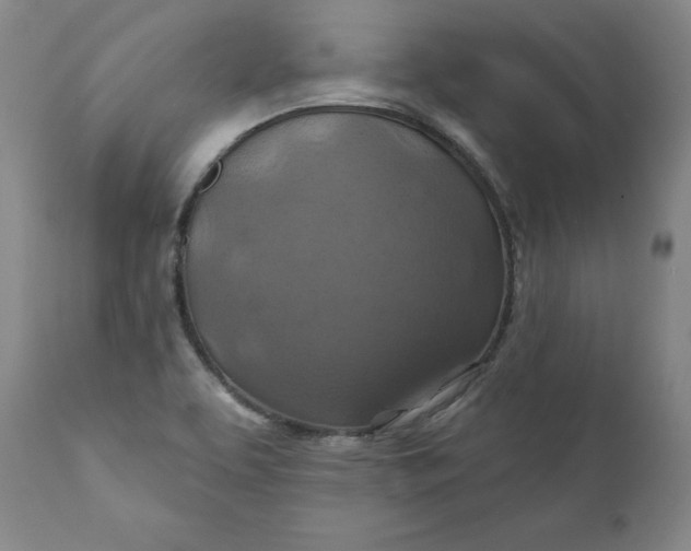 X0000112031463200908241527