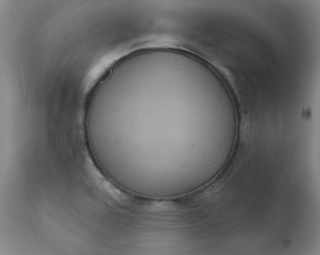 X0000112031464200908241527