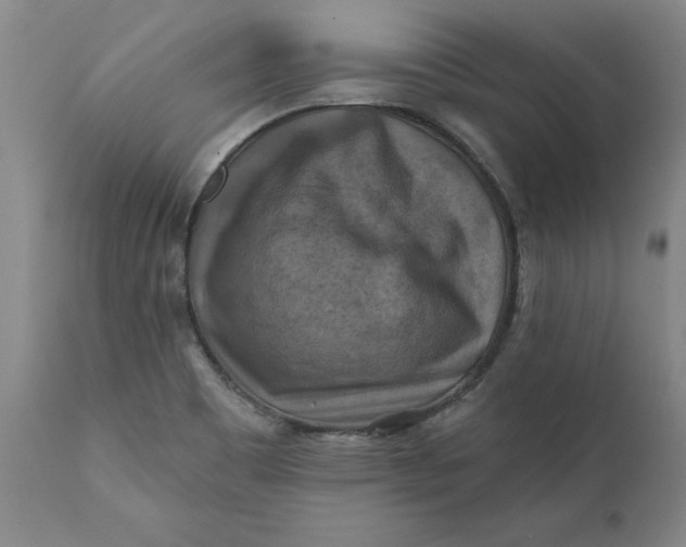 X0000112031465200908241527