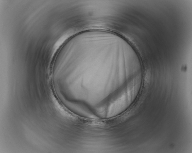 X0000112031466200908241527