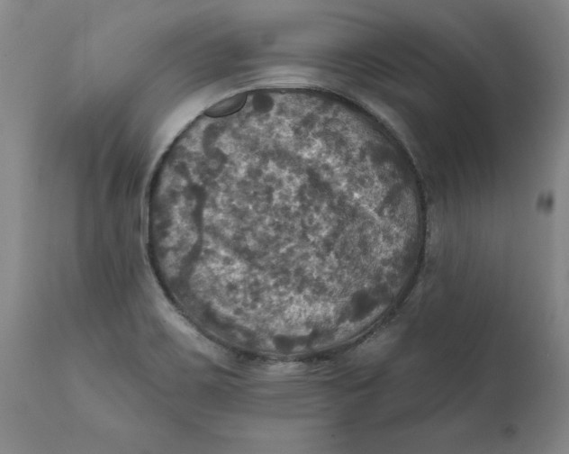 X0000112031467200908241527