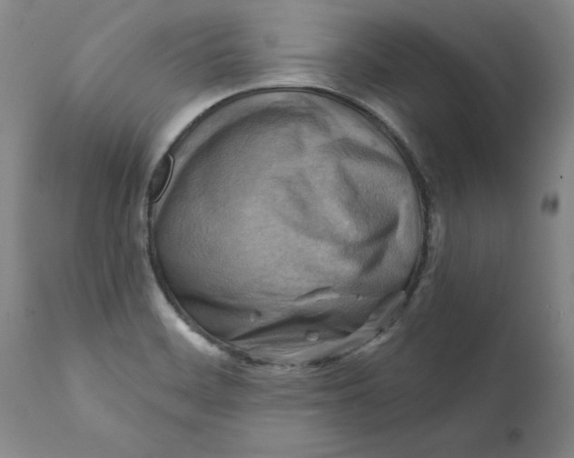 X0000112031468200908241527