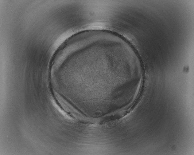 X0000112031469200908241527