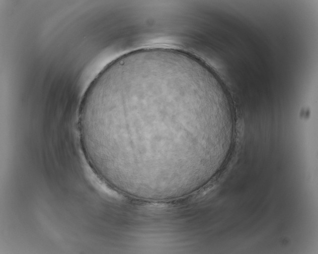 X0000112031470200908241527