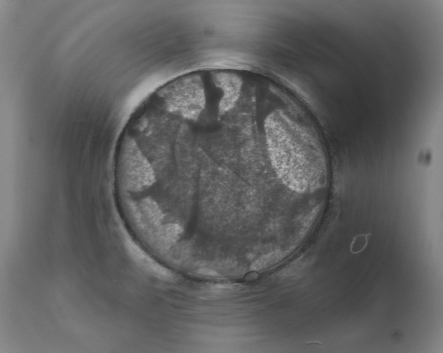 X0000112031471200908241527