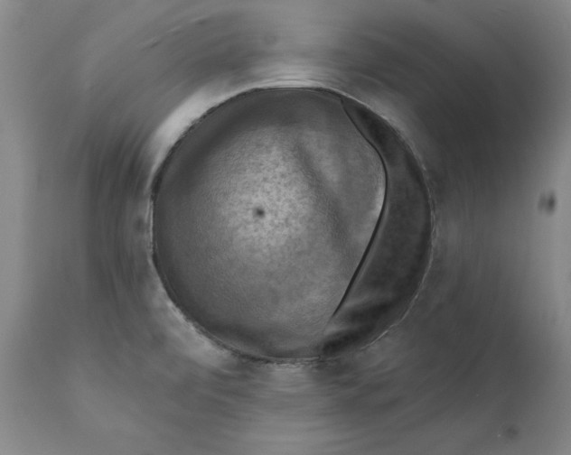 X0000112031472200908241527