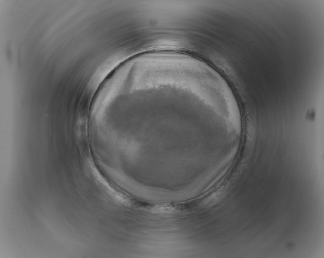 X0000112031473200908241527