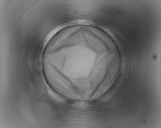 X0000112031474200908241527