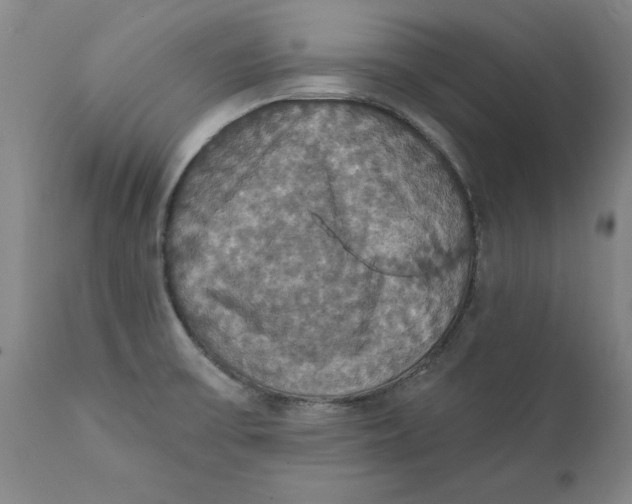 X0000112031475200908241527