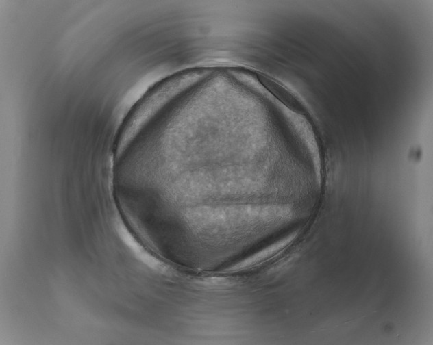 X0000112031476200908241527