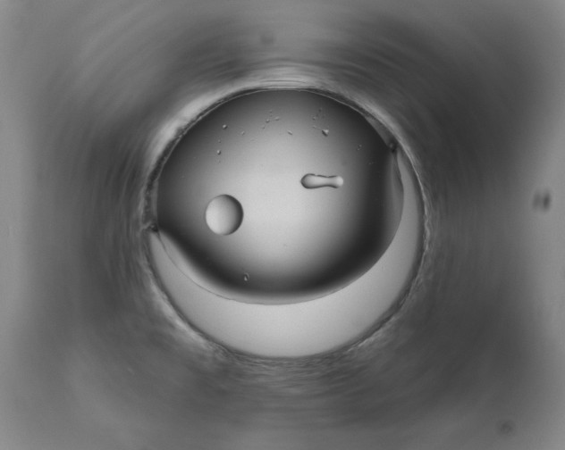 X0000112031477200908241527