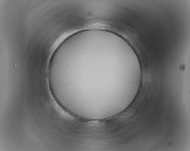 X0000112031478200908241527