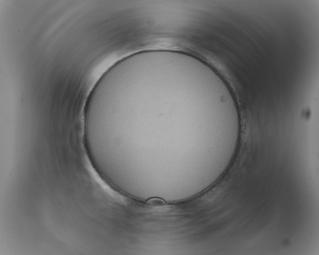 X0000112031479200908241527