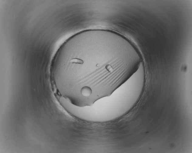 X0000112031480200908241527