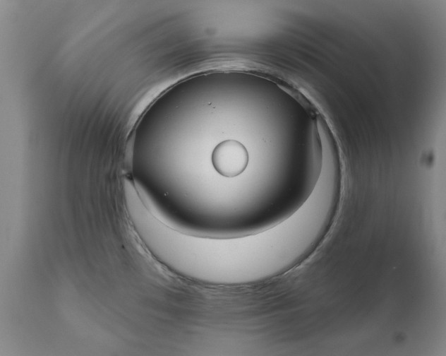 X0000112031481200908241527