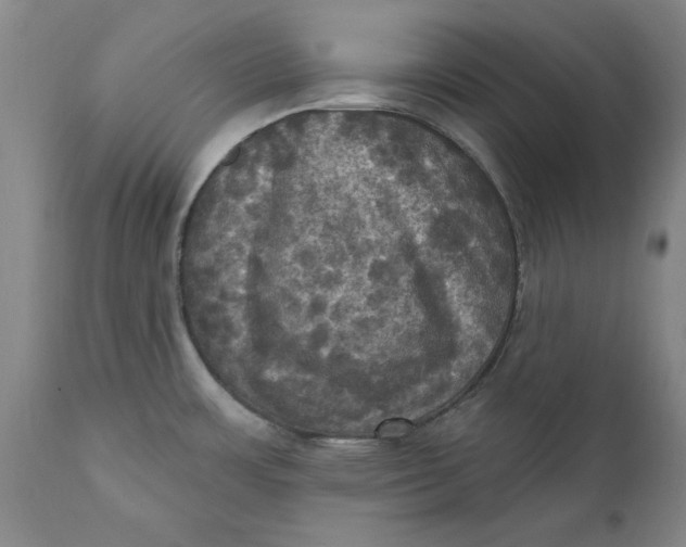 X0000112031483200908241527