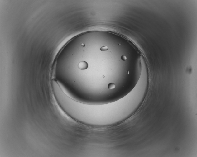 X0000112031484200908241527