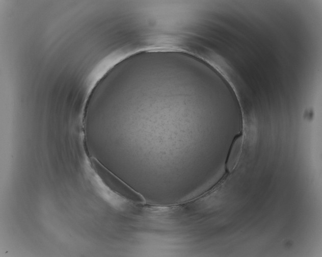 X0000112031485200908241527