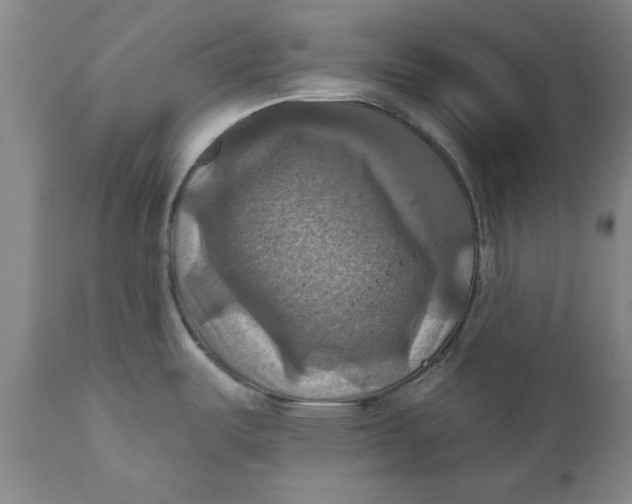 X0000112031487200908241527