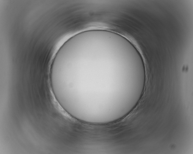 X0000112031488200908241527