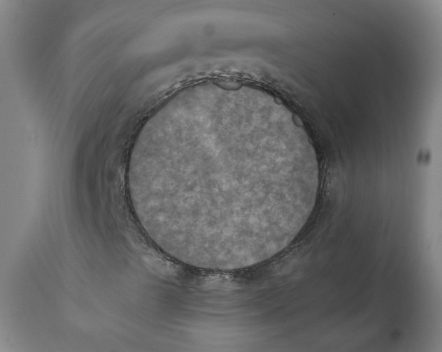 X0000112031489200908241526