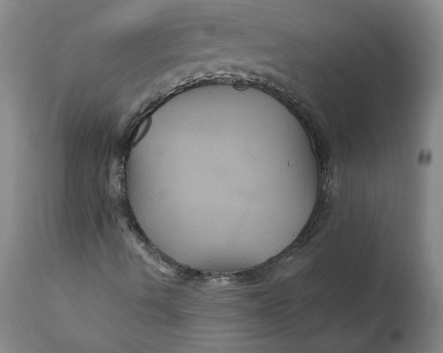 X0000112031490200908241526