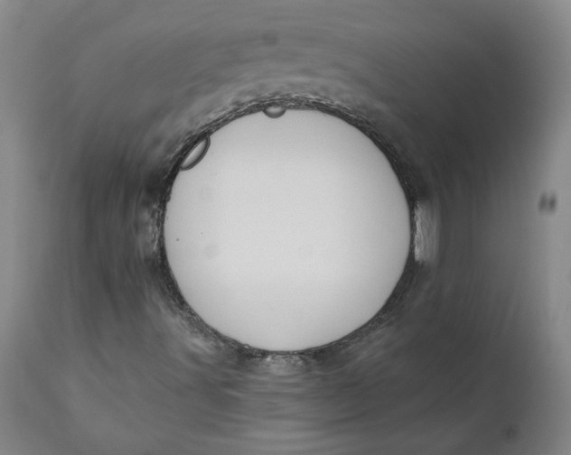 X0000112031491200908241526