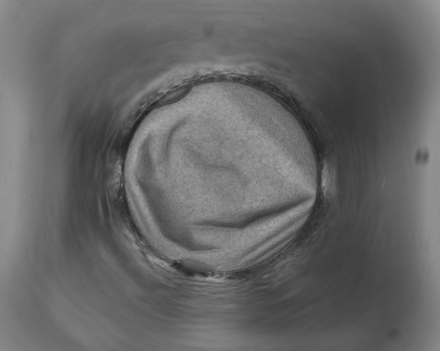 X0000112031492200908241526