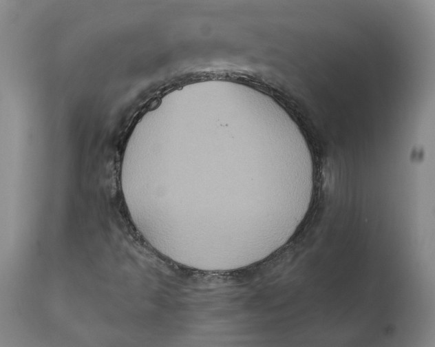 X0000112031493200908241526