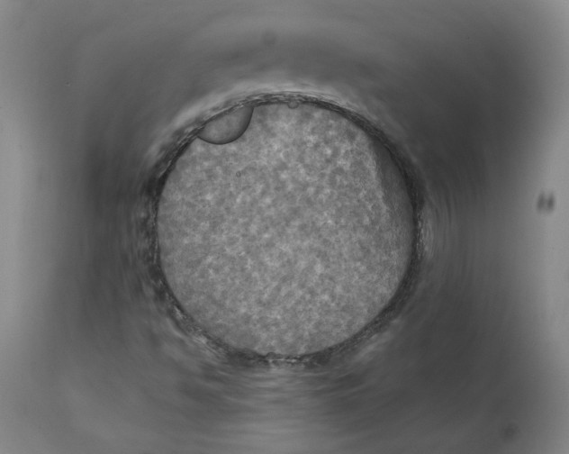 X0000112031494200908241526