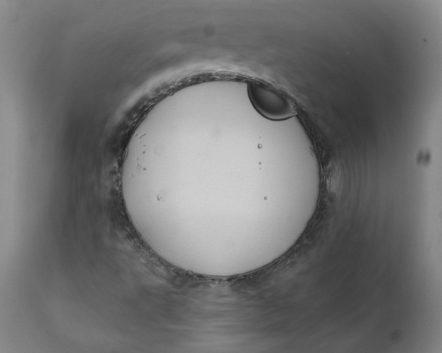 X0000112031495200908241526