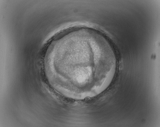 X0000112031496200908241526