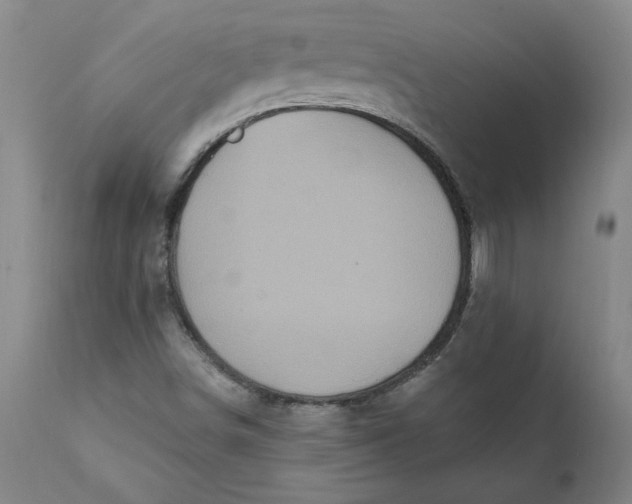 X0000112031498200908241526