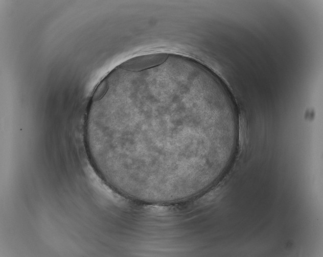 X0000112031500200908241526