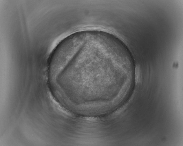 X0000112031501200908241526