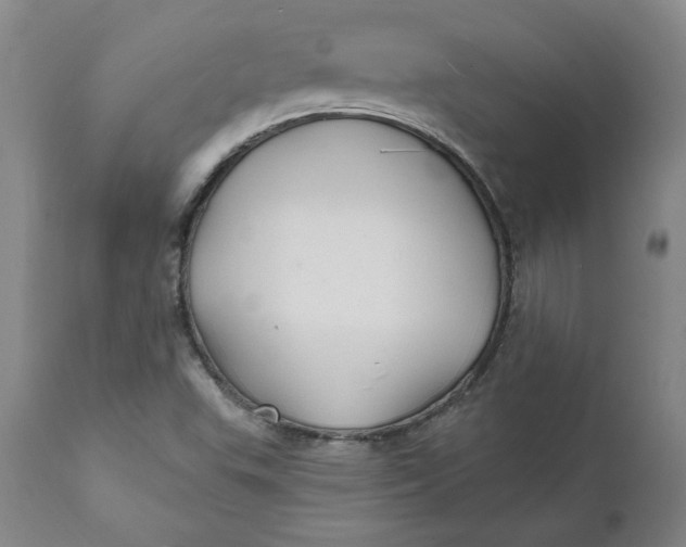 X0000112031503200908241526