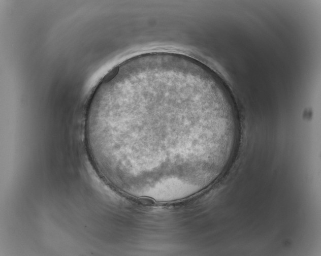 X0000112031504200908241526