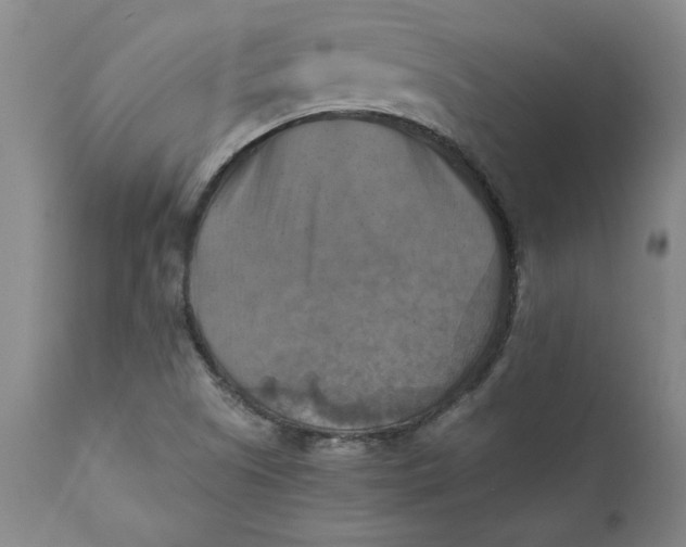 X0000112031505200908241526