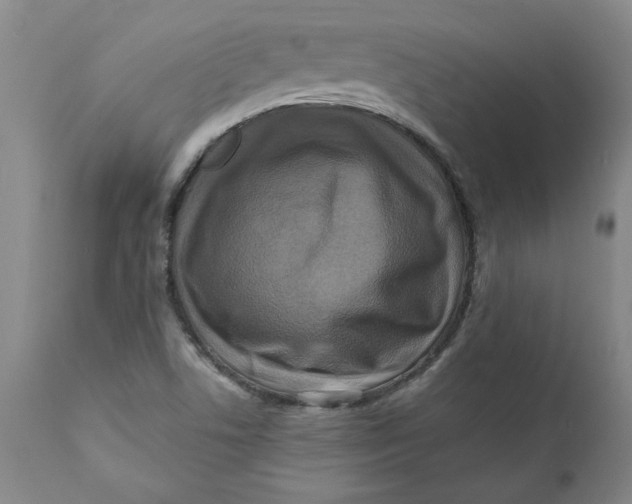 X0000112031506200908241526