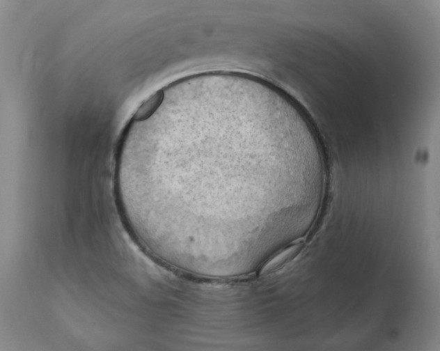 X0000112031508200908241526