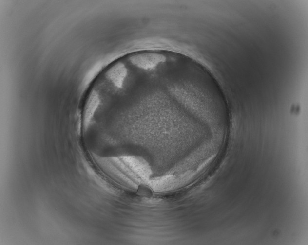 X0000112031509200908241526