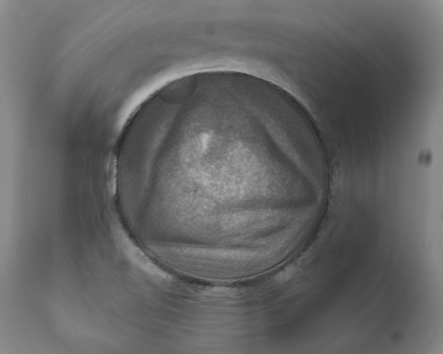 X0000112031510200908241526