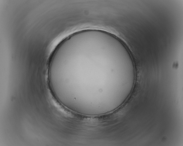 X0000112031511200908241526