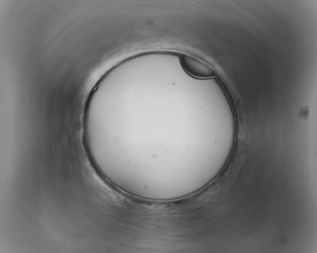 X0000112031512200908241526