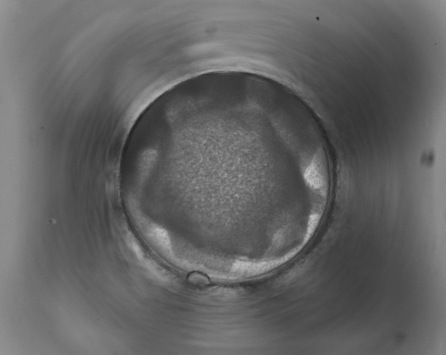 X0000112031513200908241526