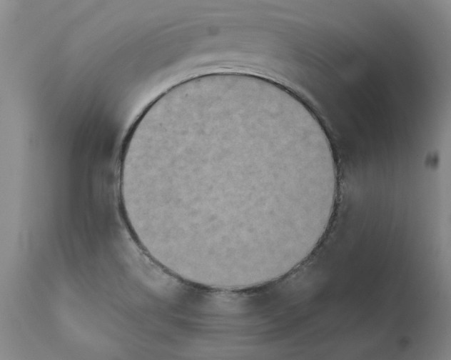 X0000112031514200908241526