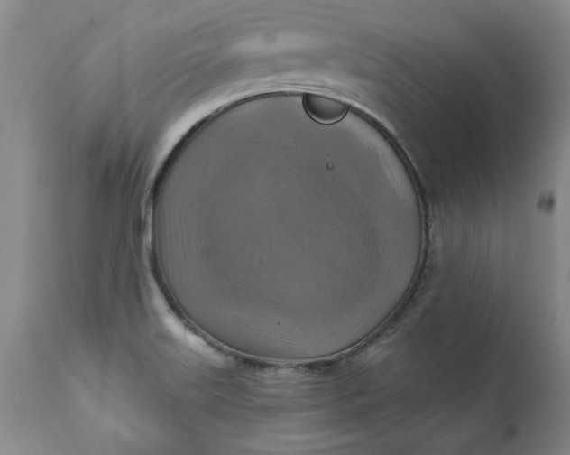 X0000112031515200908241526