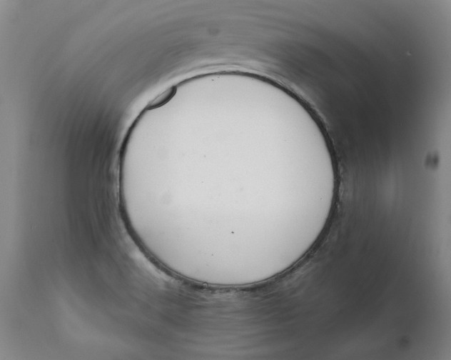 X0000112031516200908241526